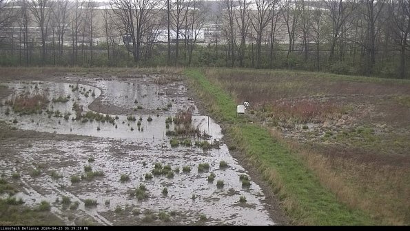 Cell 3 to 4_24-04-23_18-39-40-35