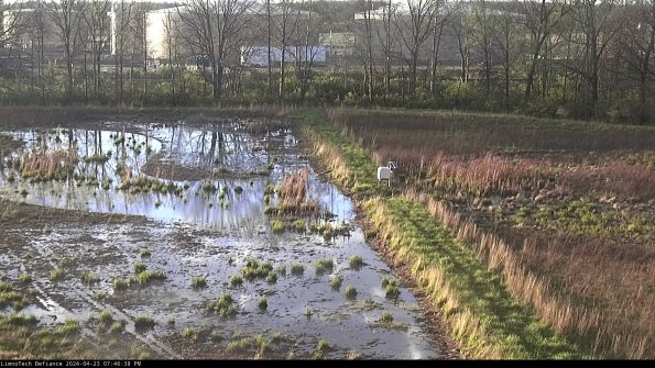 Cell 3 to 4_24-04-23_19-46-39-35