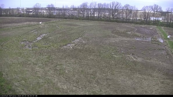 Cell 3_24-04-23_08-03-08-32