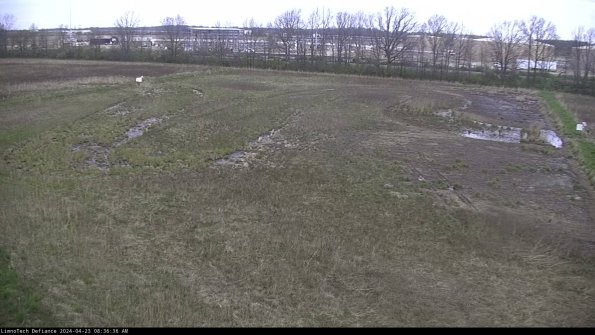 Cell 3_24-04-23_08-36-37-34