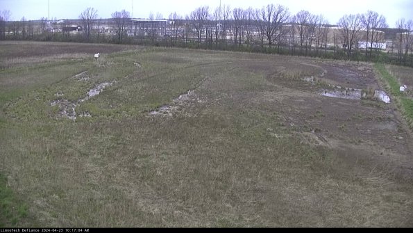 Cell 3_24-04-23_10-17-05-32