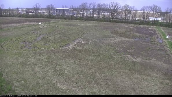 Cell 3_24-04-23_10-50-34-58