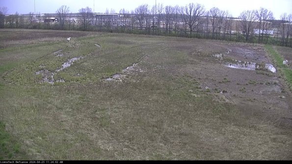 Cell 3_24-04-23_11-24-03-32