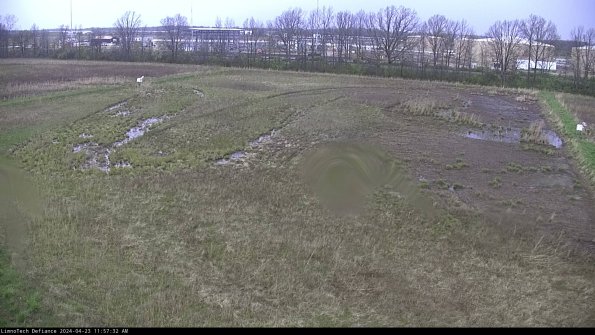 Cell 3_24-04-23_11-57-32-52