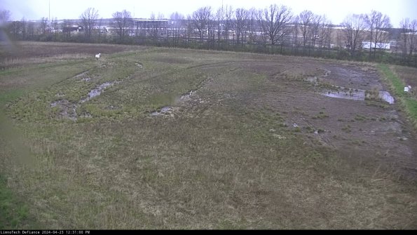 Cell 3_24-04-23_12-31-01-32