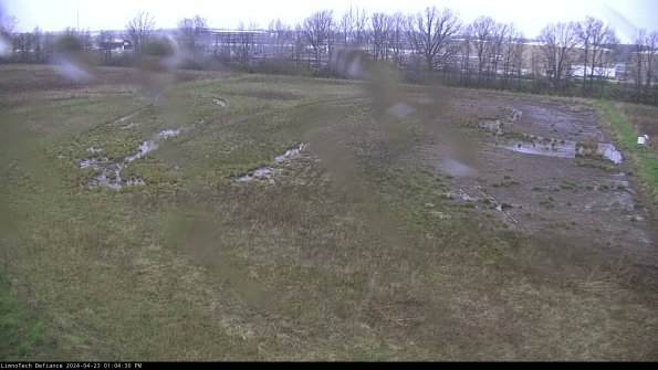 Cell 3_24-04-23_13-04-31-31