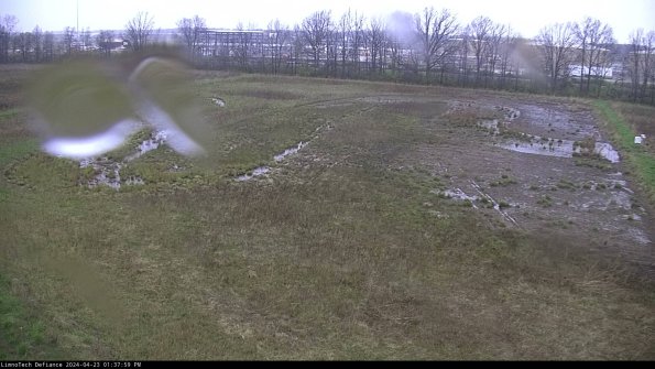 Cell 3_24-04-23_13-38-00-32