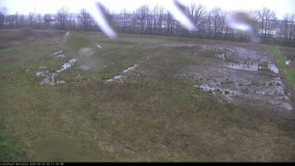 Cell 3_24-04-23_14-11-30-34