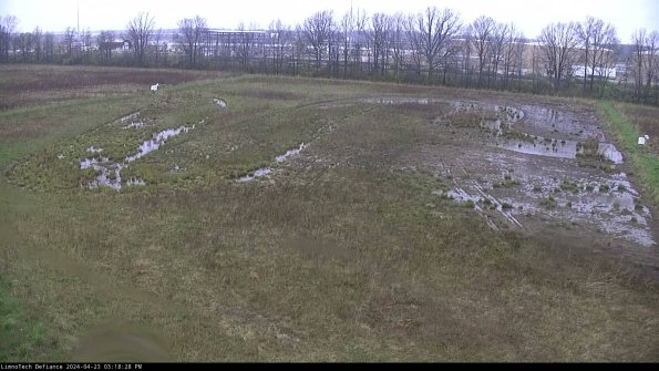 Cell 3_24-04-23_15-18-29-34