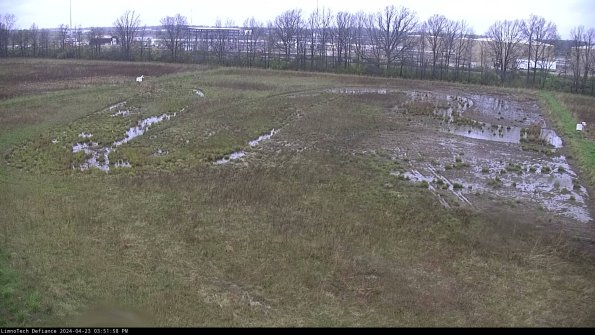 Cell 3_24-04-23_15-51-59-32