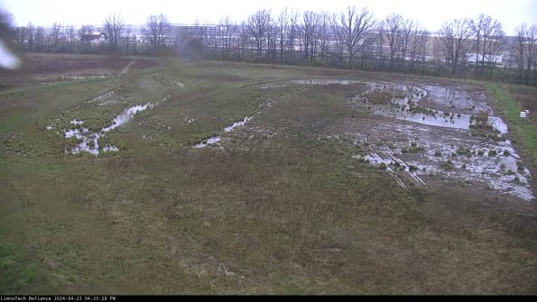 Cell 3_24-04-23_16-25-29-34