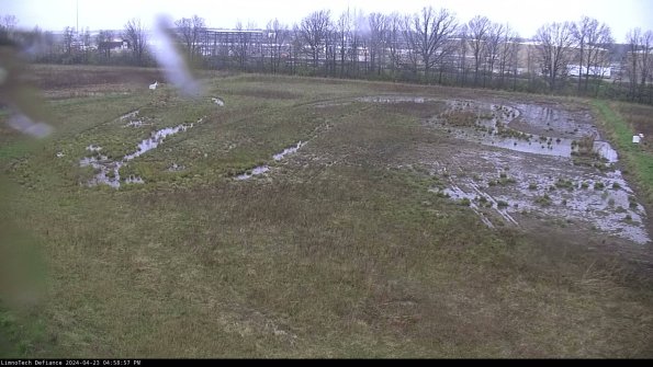 Cell 3_24-04-23_16-58-58-32