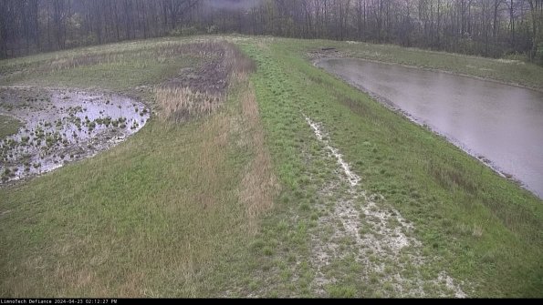 Cell 4 to Basin_24-04-23_14-12-28-33