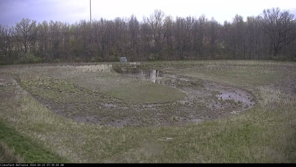 Cell 4_24-04-23_07-30-07-40