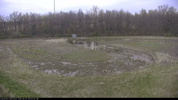 Cell 4_24-04-23_08-03-36-32