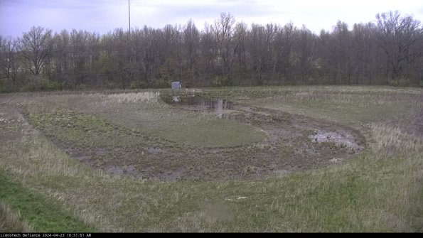 Cell 4_24-04-23_10-51-02-30