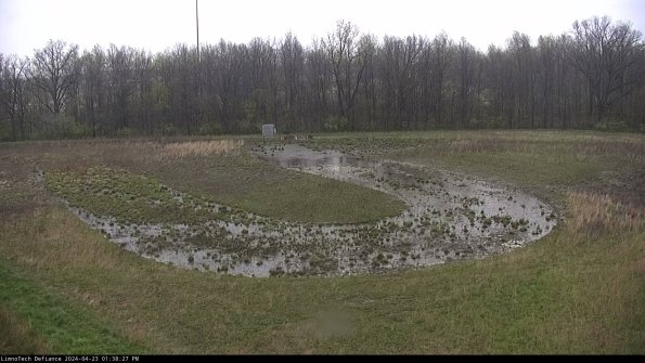 Cell 4_24-04-23_13-38-28-32