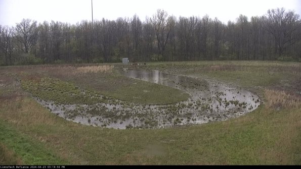 Cell 4_24-04-23_15-18-57-34