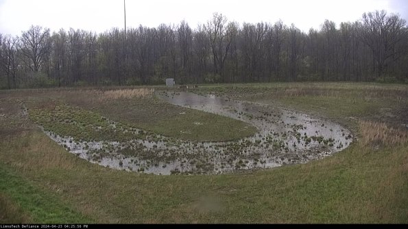 Cell 4_24-04-23_16-25-57-33