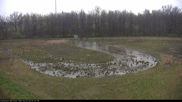 Cell 4_24-04-23_16-59-26-35