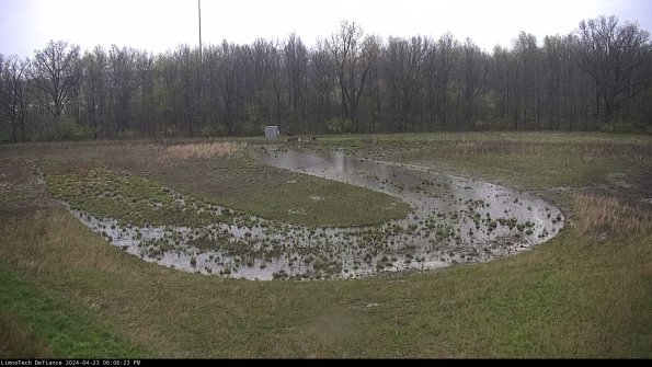 Cell 4_24-04-23_18-06-24-31