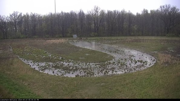 Cell 4_24-04-23_18-39-54-33