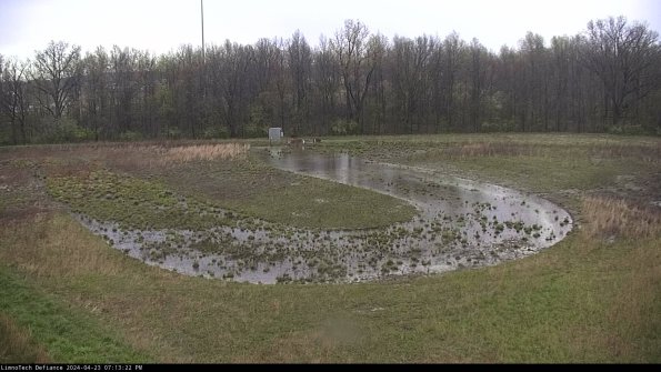 Cell 4_24-04-23_19-13-23-31