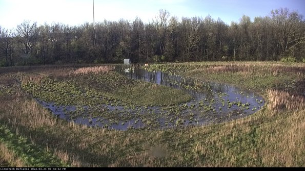 Cell 4_24-04-23_19-46-53-33