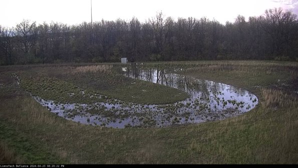 Cell 4_24-04-23_20-20-23-31