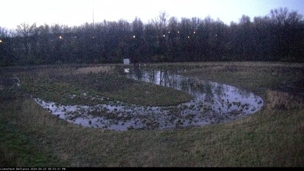 Cell 4_24-04-23_20-53-52-33