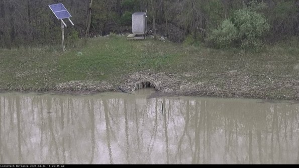 Basin Inflow_24-04-24_11-25-36-33