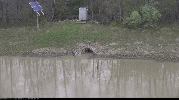 Basin Inflow_24-04-24_13-06-03-47