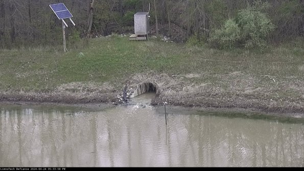 Basin Inflow_24-04-24_17-33-59-34