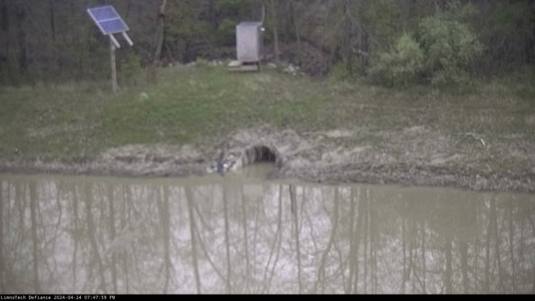 Basin Inflow_24-04-24_19-47-59-58