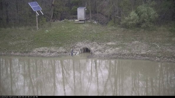 Basin Inflow_24-04-24_20-21-29-32