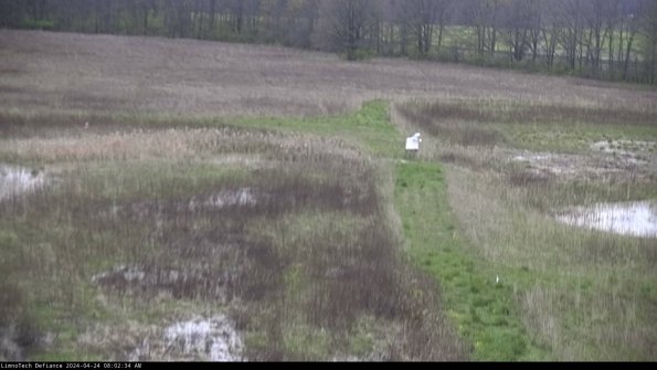 Cell 1 to 2_24-04-24_08-02-35-33