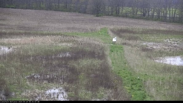 Cell 1 to 2_24-04-24_08-36-04-36