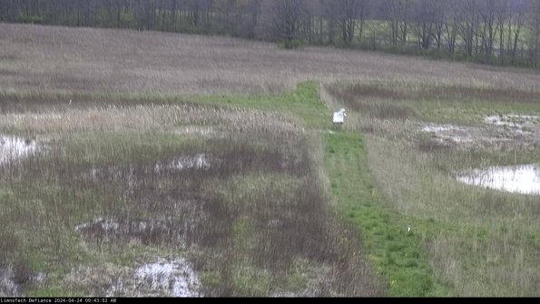 Cell 1 to 2_24-04-24_09-43-03-32