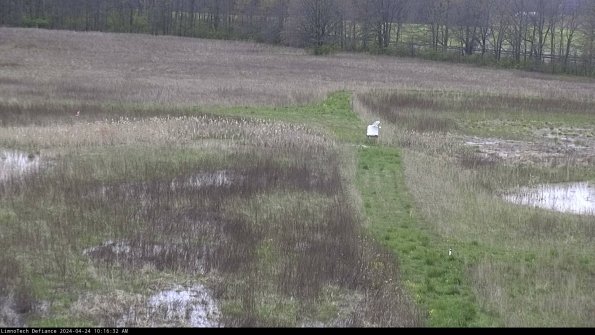 Cell 1 to 2_24-04-24_10-16-33-33