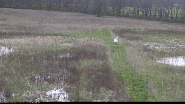 Cell 1 to 2_24-04-24_11-57-01-32