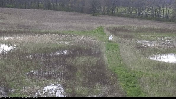 Cell 1 to 2_24-04-24_15-17-53-34