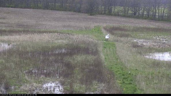 Cell 1 to 2_24-04-24_16-24-53-31