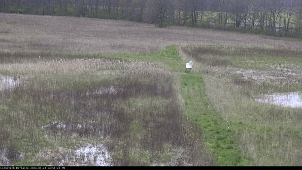 Cell 1 to 2_24-04-24_16-58-23-33