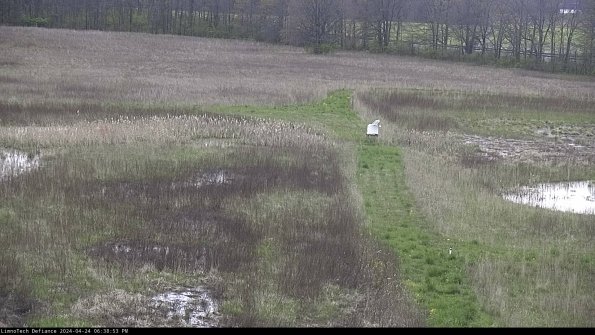 Cell 1 to 2_24-04-24_18-38-54-32