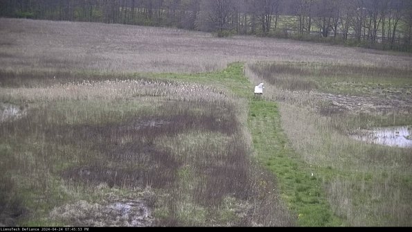 Cell 1 to 2_24-04-24_19-45-54-32