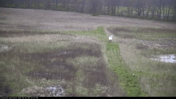 Cell 1 to 2_24-04-24_20-19-23-32