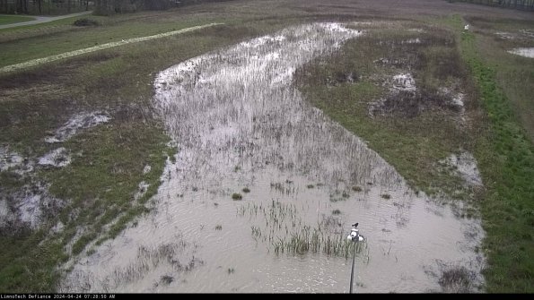 Cell 1_24-04-24_07-28-51-35