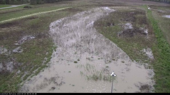 Cell 1_24-04-24_08-35-50-34