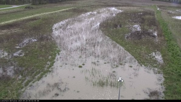 Cell 1_24-04-24_09-42-49-31