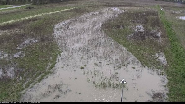 Cell 1_24-04-24_10-16-19-32